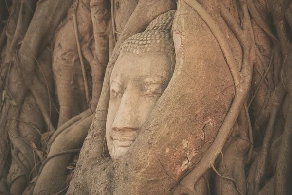 Cabeza de Buda en Wat Mahathat — Foto de Stock