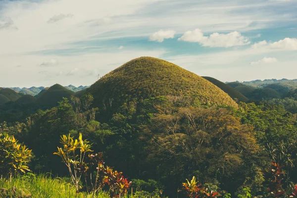 Vista de las colinas de chocolate en Bohol, Pilippines — Foto de Stock