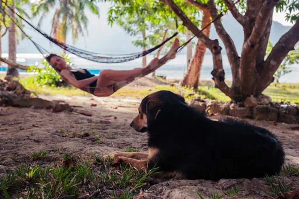 Woman relaxing in hammock with dog — Stock Photo, Image