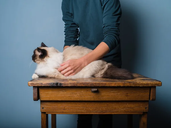 正在考察在木桌上的猫 — 图库照片