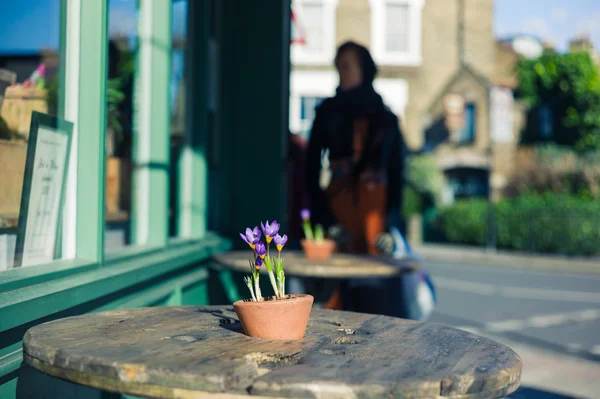 Flowers on a table — Stock Photo, Image