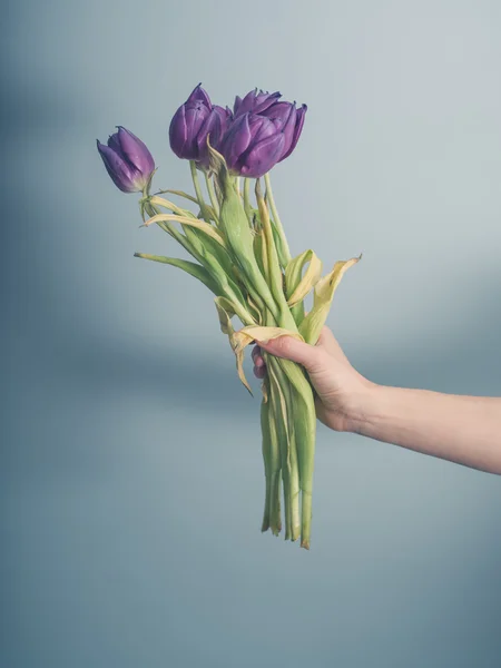 手与死去的鲜花 — 图库照片