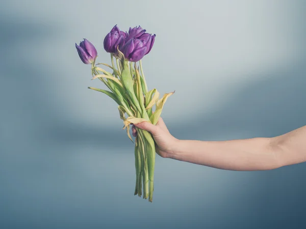 Mão com flores mortas — Fotografia de Stock