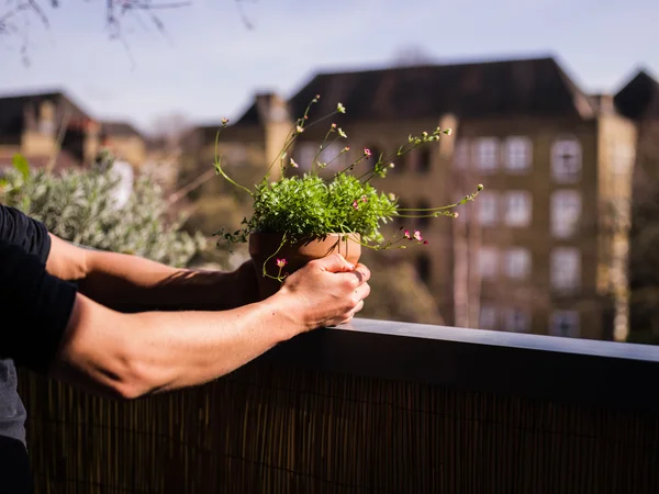 Žena navštěvuje její rostliny na balkon — Stock fotografie