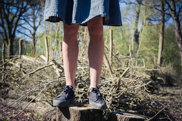 Женщина, стоящая на стволе дерева в лесу — стоковое фото