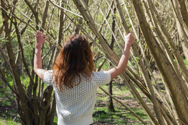 Giovane donna che esplora una foresta — Foto Stock