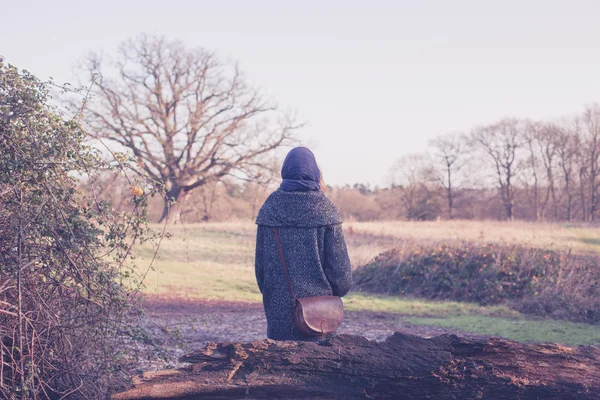 Persona che riposa nel paesaggio rurale — Foto Stock