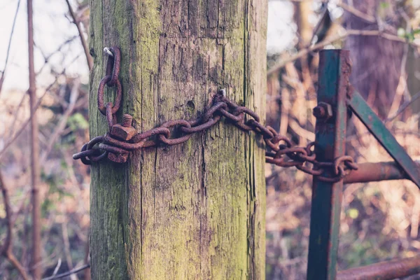 Fence and iron chain in a forest — Stock Photo, Image