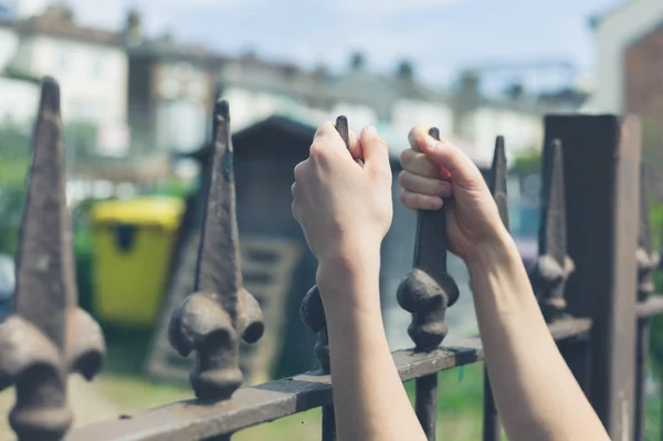 Female hands holding a fence — Stock Photo, Image