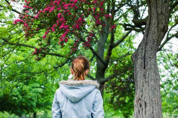 Genç bir kadın parkta yürüyor. — Stok fotoğraf
