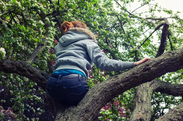 Молодая женщина сидит на дереве — стоковое фото