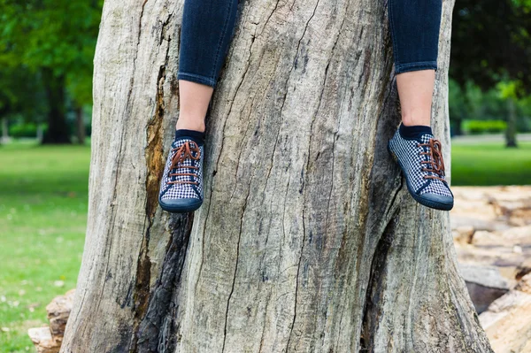 Las piernas de la mujer joven sentada en el tronco del árbol — Foto de Stock