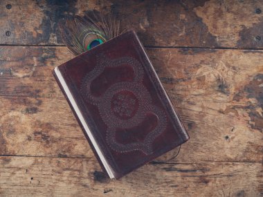 Tavus kuşu tüyü ile defter