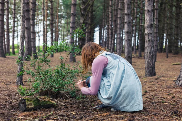 Femme cherchant sa nourriture dans la forêt — Photo