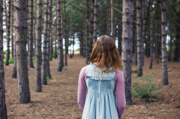 Woman standing in forest and looking at trees — Stock Photo, Image