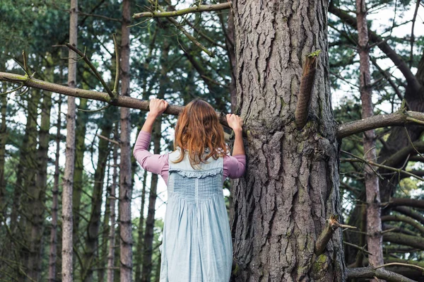 Giovane donna arrampicata su un albero — Foto Stock