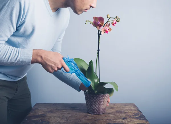 Людина поливає орхідею з водяним пістолетом — стокове фото