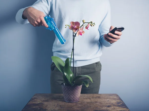 Человек поливающий орхидею водяным пистолетом — стоковое фото