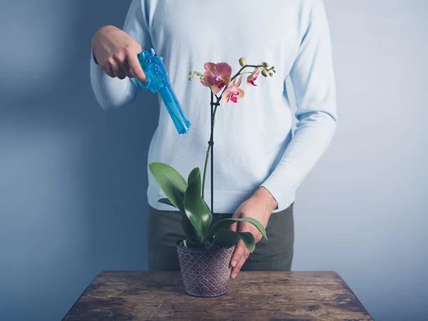 Людина поливає орхідею з водяним пістолетом — стокове фото