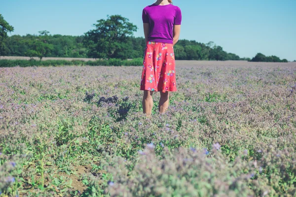 Mujer de pie en el campo de flores púrpuras —  Fotos de Stock