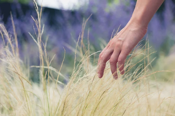Jeune femme main toucher l'herbe à l'extérieur — Photo