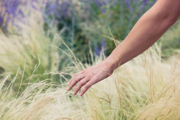 外の芝生に触れる若い女性手 — ストック写真