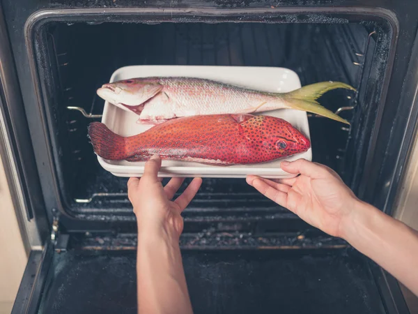 Peixe exótico sendo colocado no forno — Fotografia de Stock