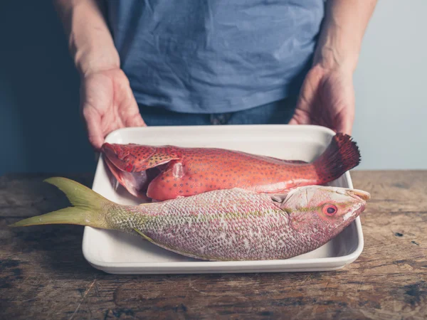 Bandeja com dois peixes exóticos — Fotografia de Stock