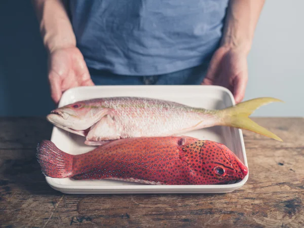 Tablett mit zwei exotischen Fischen — Stockfoto