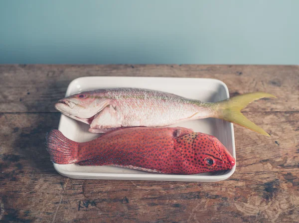 Peixe exótico na bandeja — Fotografia de Stock