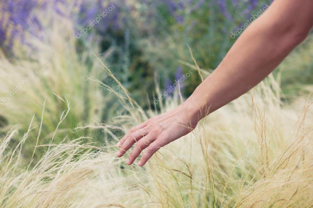 female hand, touch, grass Stock Photo