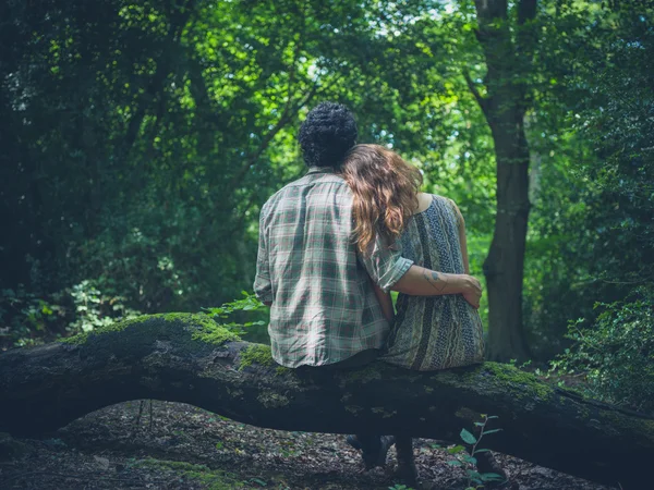 Genç çift oturum ormandaki kucaklayan — Stok fotoğraf
