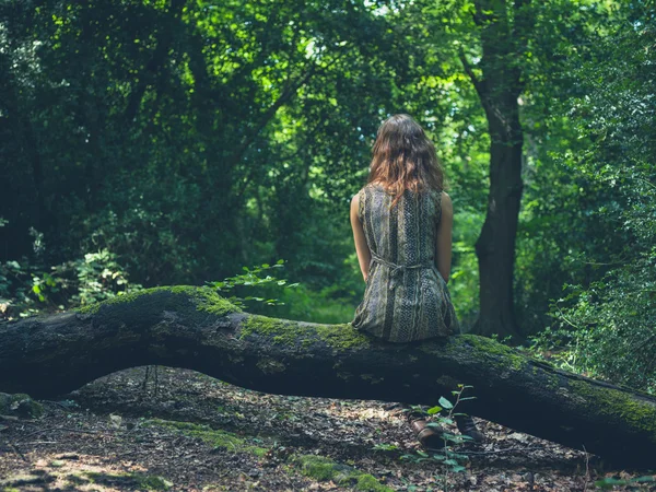 Mulher sentada no log na floresta — Fotografia de Stock
