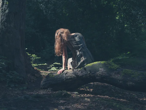 Frau sitzt auf Baumstamm im Wald — Stockfoto