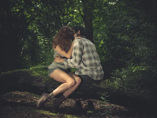 Young couple sitting on log and kissing — Stock Photo, Image