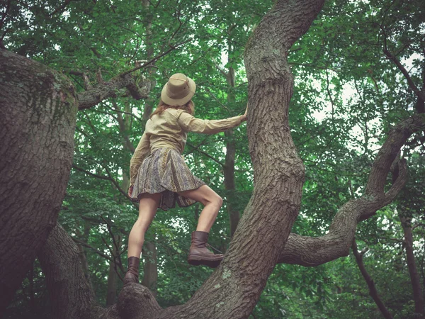 Vrouw met safari hoed boom klimmen — Stockfoto