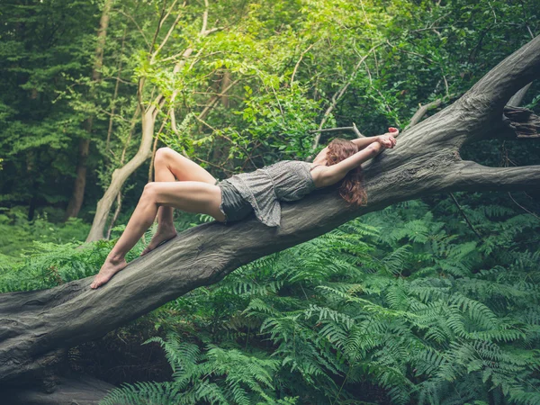 Sensuell ung kvinna på fallna träd i skogen — Stockfoto