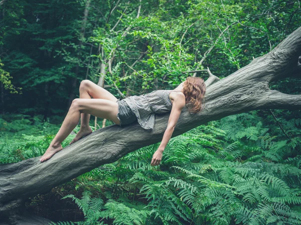 性感年轻的女子，在倒下的树在森林里 — 图库照片