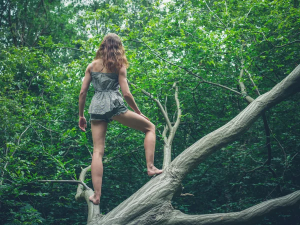 Mujer joven descalza de pie sobre un árbol caído — Foto de Stock