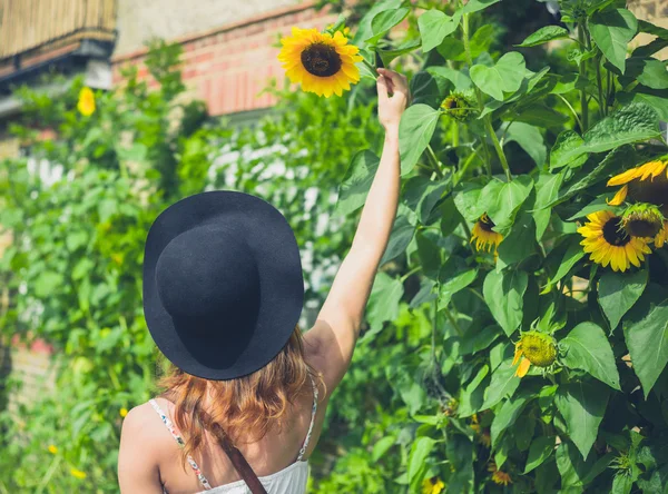 Kvinna med hatt tittar på solrosor — Stockfoto