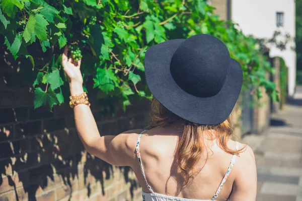 Young woman in hat picking grapes — Stock Photo, Image