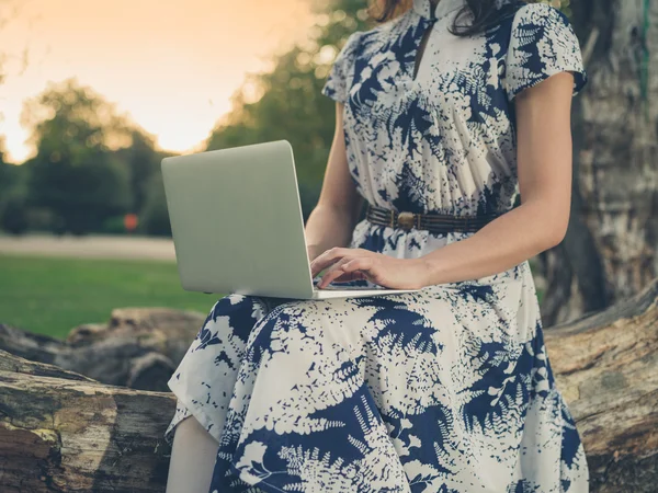 Mladá žena pomocí přenosného počítače v parku při západu slunce — Stock fotografie