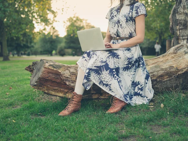 Junge Frau benutzt Laptop im Park bei Sonnenuntergang — Stockfoto