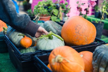 Kabaklar dokunmadan el