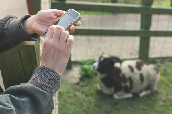Woman using smart phone on farm — Stock Photo, Image