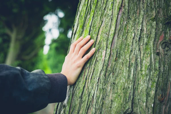 Junge weibliche Hand ruht auf Baum — Stockfoto