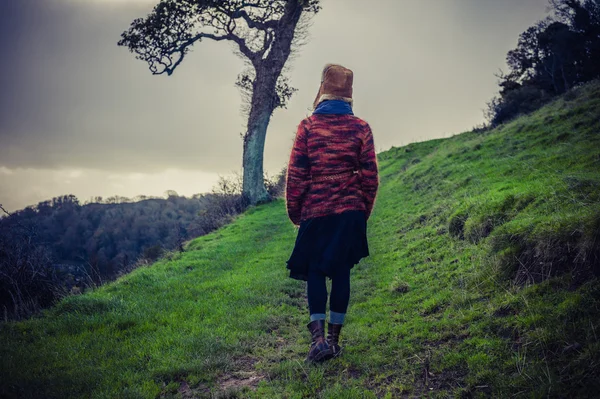 Giovane donna escursionismo su collina da albero — Foto Stock