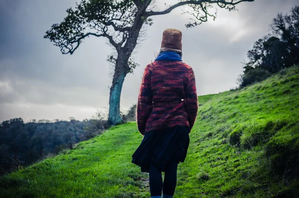 Junge Frau wandert auf Hügel neben Baum — Stockfoto