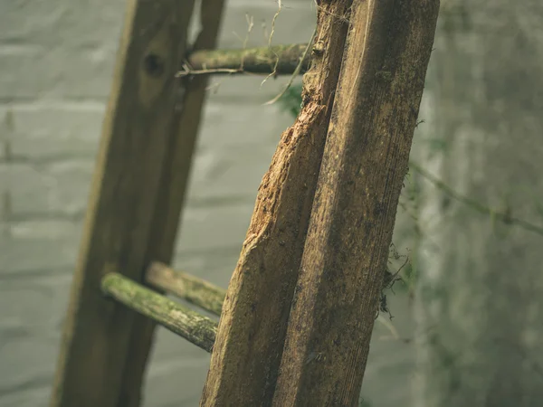 Wooden ladder outside — Stock Photo, Image