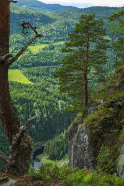 Ravnejuv uçurumu Norveç 'te panoramik çekim